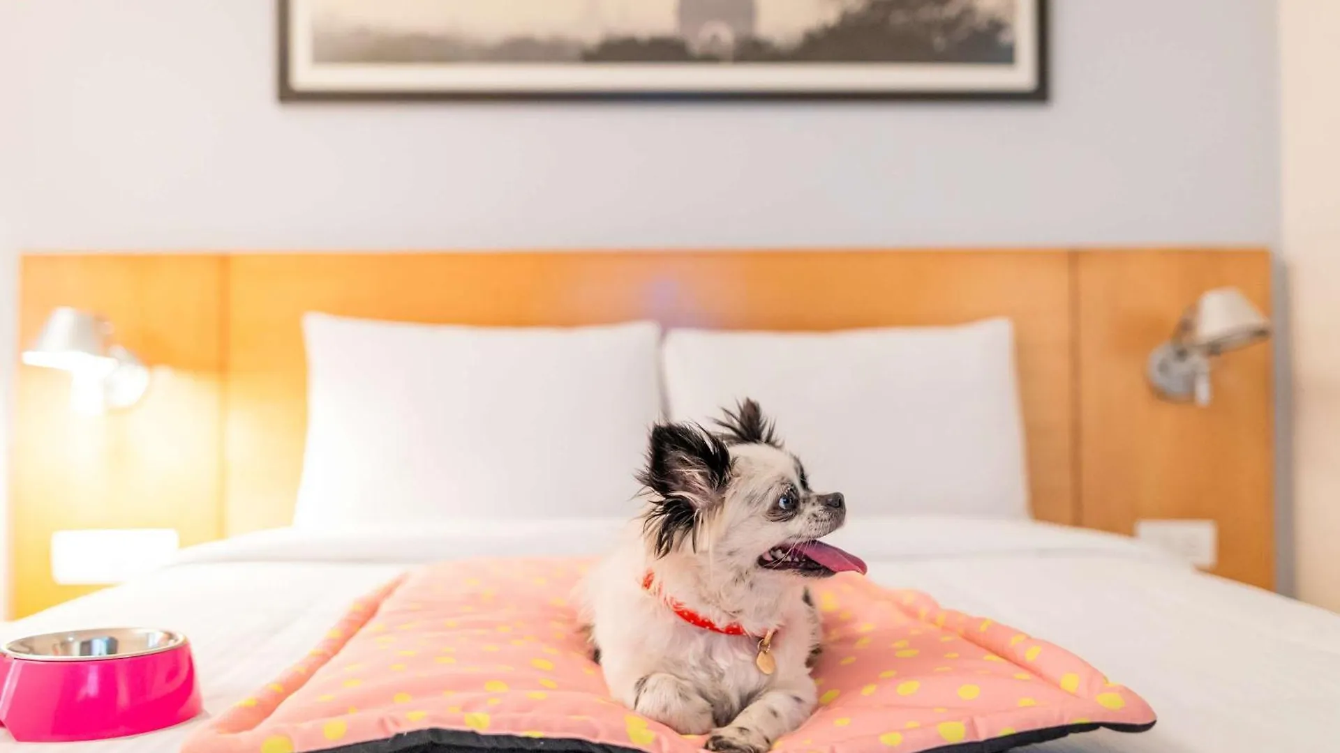 Ibis Nuernberg Hauptbahnhof Hotel  Nuremberg